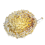 Liquid gold King